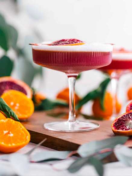 Cocktail gin sour acidulé à la clementine et à l'orange sanguine