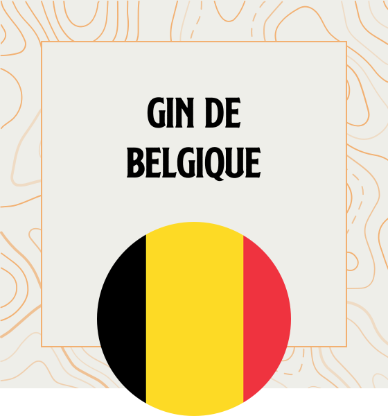 Gin en provenance directe de Belgique