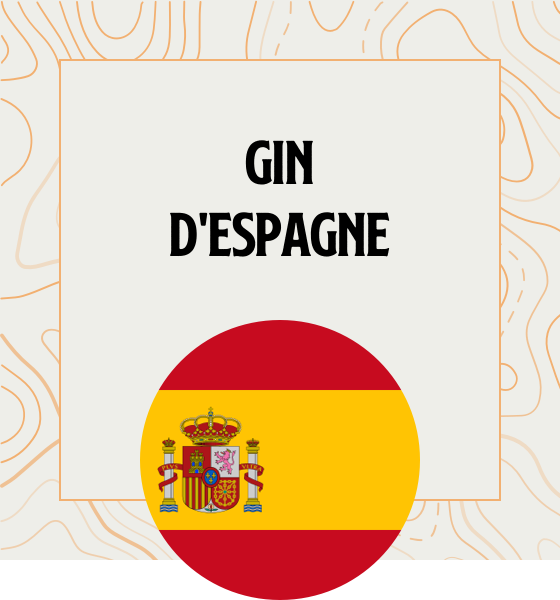 Gin en provenance directe d'Espagne