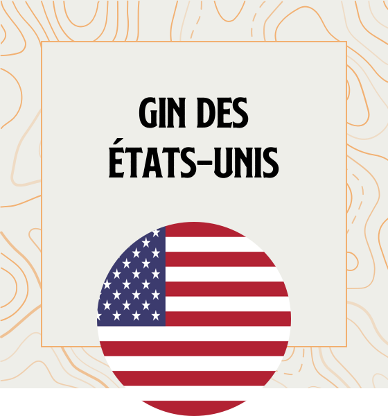 Gin en provenance directe des Etats-Unis